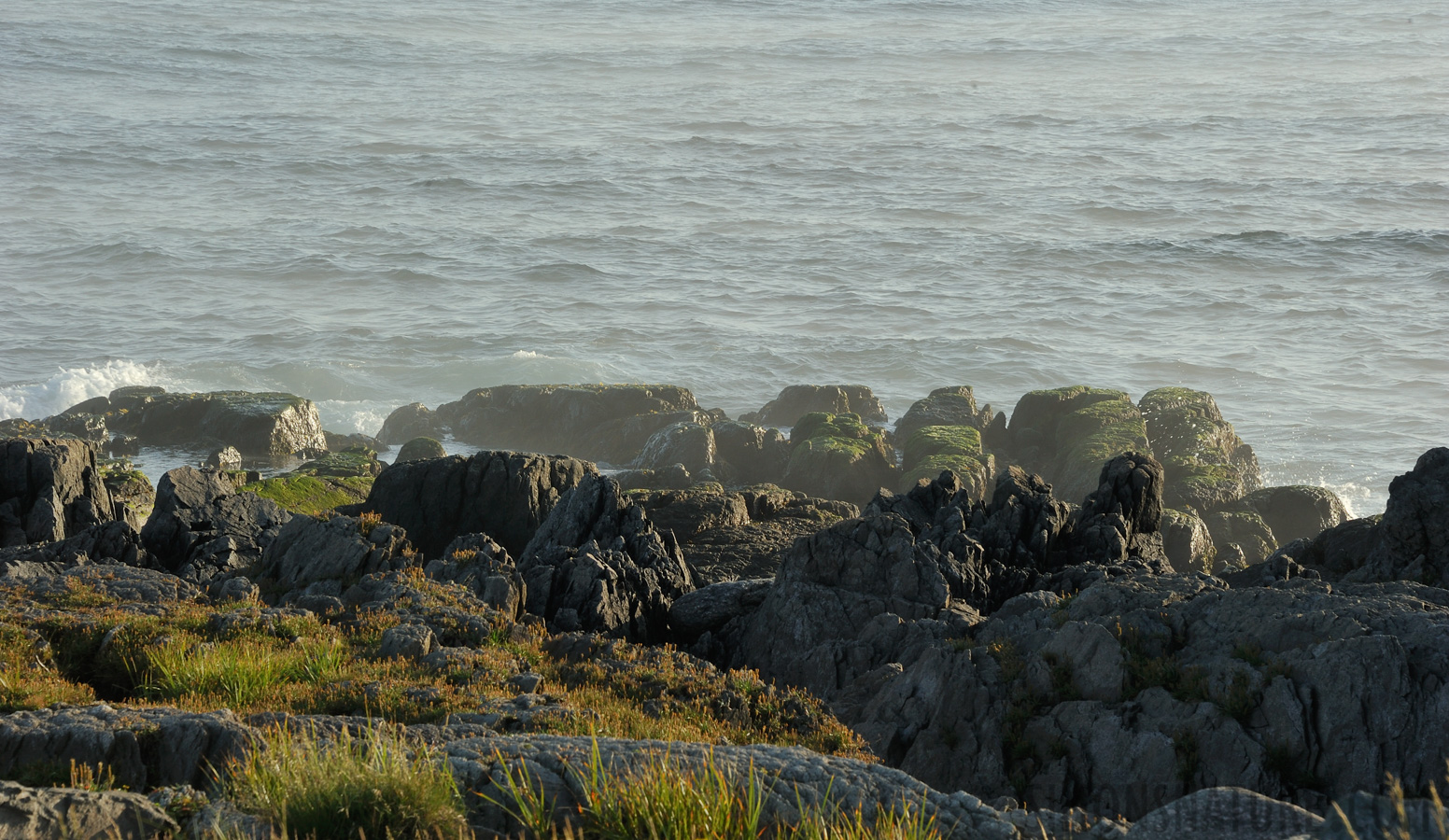 Küste westlich von Port aux Basques [170 mm, 1/125 Sek. bei f / 16, ISO 400]